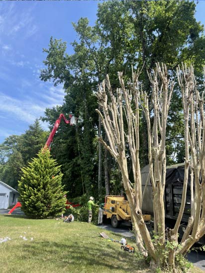 https://ismaellandscapetreeservice.net/tree-trimming-in-richmond-va/ Ismael’s Landscape and Tree Services in Richmond, VA