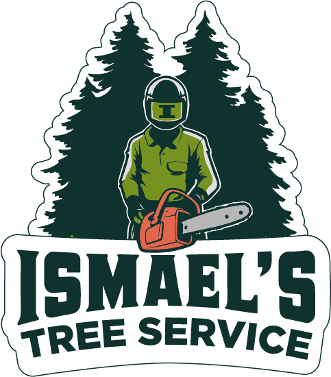 https://ismaellandscapetreeservice.net/ Ismael’s Landscape and Tree Services in Richmond, VA