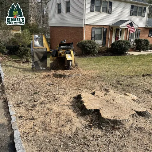 Stump Removal Richmond VA Ismael's Tree Services